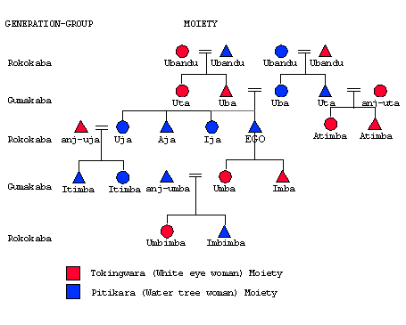 kinship diagram moiety clan