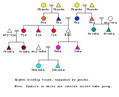 kinship diagram